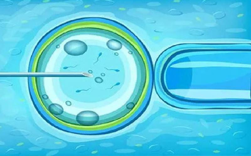 试管抓小蝌蚪好吗代生